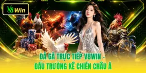 Đá Gà Trực Tiếp V8WIN - Đấu Trường Kê Chiến Châu Á